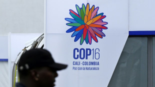 Une bonne action pour le climat ne l'est pas toujours pour la biodiversit&eacute;