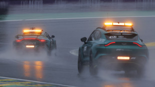 F1: Brasile; incidente a Colapinto, bandiera rossa a met&agrave; gara