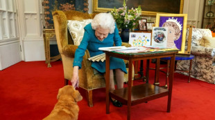 Hu&eacute;rfanos, los famosos perros corgis de Isabel II fueron adoptados por su hijo Andr&eacute;s