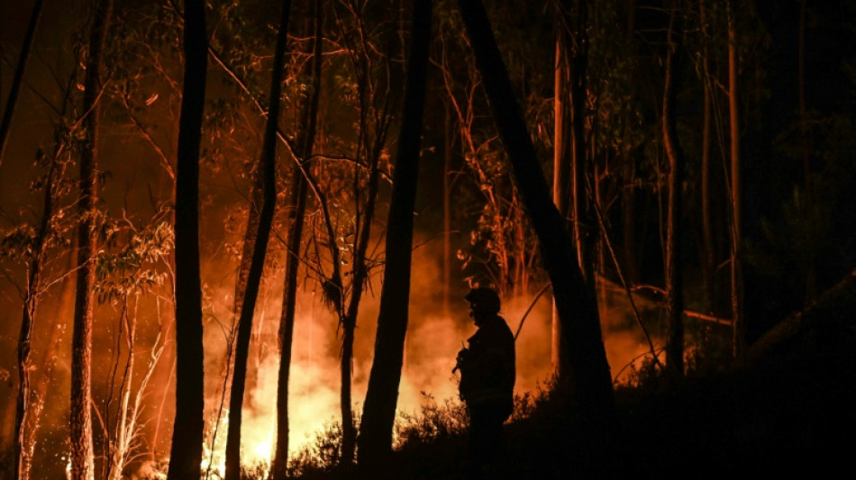 Feuerwehr d&auml;mmt zwei gro&szlig;e Waldbr&auml;nde in Portugal nach mehreren Tagen ein