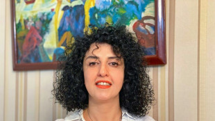 La premio Nobel de la Paz iran&iacute; Narges Mohammadi finaliza huelga de hambre (familia)