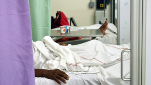 Chikungunya &agrave; La R&eacute;union: le directeur du CHU veut des renforts