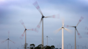 Verb&auml;nde dringen vor Gespr&auml;chen in Berlin auf mehr Engagement beim Klimaschutz