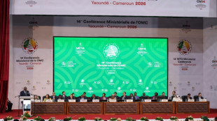 L'OMC joue les prolongations &agrave; Yaound&eacute;, le Br&eacute;sil entre en jeu