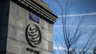 OMC prev&ecirc; recupera&ccedil;&atilde;o gradual do com&eacute;rcio em 2024 e 2025