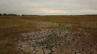 Disasters cause $3.8 tn in crop loses over 30 years: FAO
