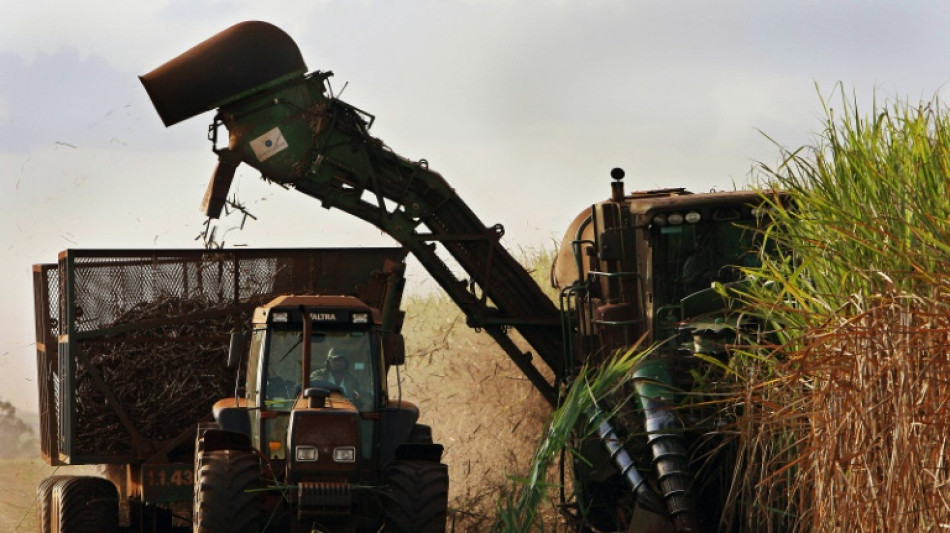 Etanol: &iquest;un paso intermedio hacia la electromovilidad en Am&eacute;rica Latina?