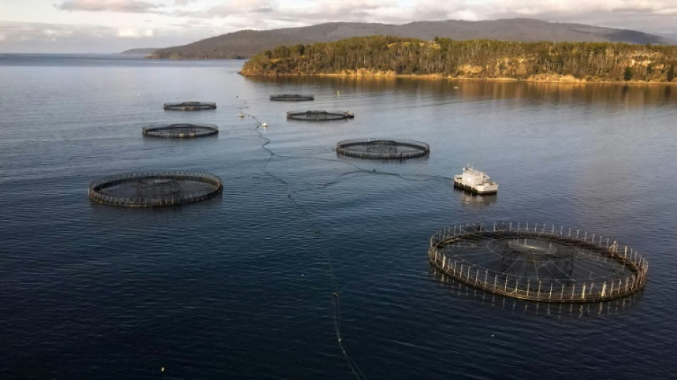 Farmed production of some fish - and seaweed - is soaring