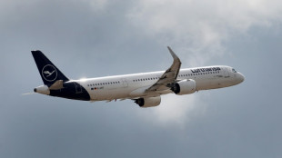 Bericht: Nur 32 Visa f&uuml;r t&uuml;rkische Aushilfen an deutschen Flugh&auml;fen erteilt