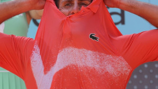 Tennis: "C'&eacute;tait peut-&ecirc;tre mon dernier match &agrave; Madrid", admet Djokovic