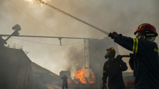 Inc&ecirc;ndio florestal obriga evacua&ccedil;&atilde;o por mar de quase 500 turistas na Gr&eacute;cia