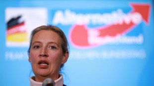 Sondaggio,Afd primo partito in Germania per la prima volta