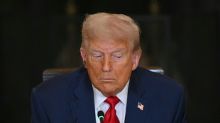 Tribunal de apelações dos EUA considera 'inconstitucional' ordem de Trump que encerra cidadania por nascimento