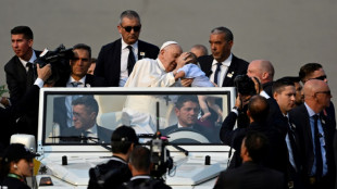 Le pape accueilli par 200.000 fid&egrave;les au sanctuaire de Fatima
