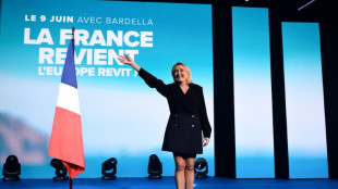 Direita nacionalista europeia diante do desafio de superar divis&otilde;es