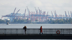Spazierg&auml;nger in Hamburg finden Leiche ohne Kopf am Elbufer: Todesursache unklar