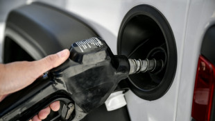 EEUU consumir&aacute; combustible con m&aacute;s etanol ante una posible escasez por la guerra con Ir&aacute;n