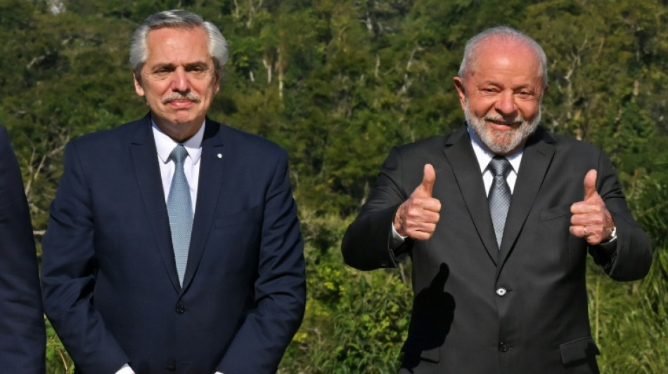 Argentina, Brazil take aim at EU's environmental trade deal conditions