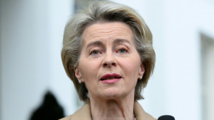 Von der Leyen verteidigt "gr&uuml;ne" Industriepl&auml;ne gegen Kritik