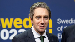Simon Harris, bien situado para suceder a Varadkar como primer ministro irland&eacute;s
