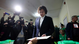 Recontagem parcial das legislativas na Ge&oacute;rgia confirma vit&oacute;ria do governo