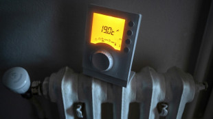 Frankreich will Thermostate und Dienstfahrr&auml;der subventionieren