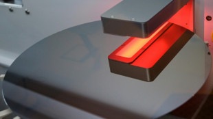 &Uuml;bernahme von Chipfertigung von Elmos wird "voraussichtlich" untersagt  