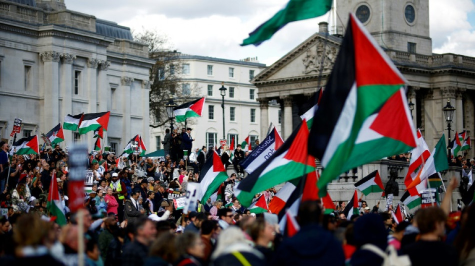 Miles de personas se re&uacute;nen en Londres en una manifestaci&oacute;n propalestina