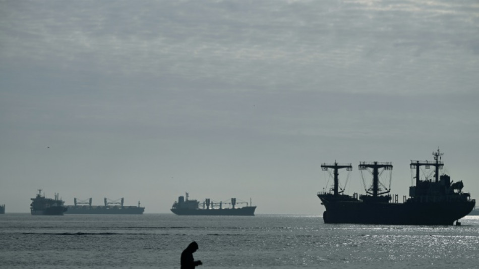 La Russie retourne &agrave; l'accord c&eacute;r&eacute;alier, le trafic reprend en mer Noire