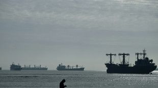 La Russie retourne &agrave; l'accord c&eacute;r&eacute;alier, le trafic reprend en mer Noire