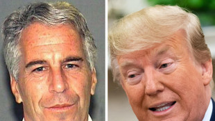 Epstein: 'Trump una cattiva persona, nessuna cellula decente nel suo corpo'