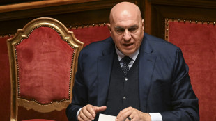 Crosetto 'ammirazione e rispetto per Leone, diffonda pace'