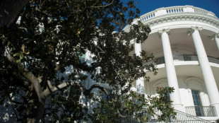 Sicherheitsrisiko: Trump will historischen Magnolienbaum vor Wei&szlig;em Haus f&auml;llen lassen