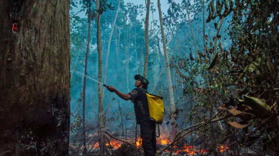 Casi 3.000 incendios en la Amazon&iacute;a brasile&ntilde;a, r&eacute;cord para el mes de febrero