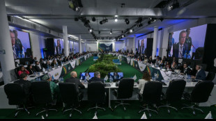Au Br&eacute;sil, un G20 divis&eacute; et bloqu&eacute; par "l'impasse" sur l'Ukraine et Gaza