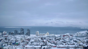 Les Islandais aux urnes apr&egrave;s l'&eacute;clatement du gouvernement de coalition