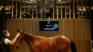 Cheval de course : la possibilit&eacute; "d'acheter une patte" sans &ecirc;tre millionnaire