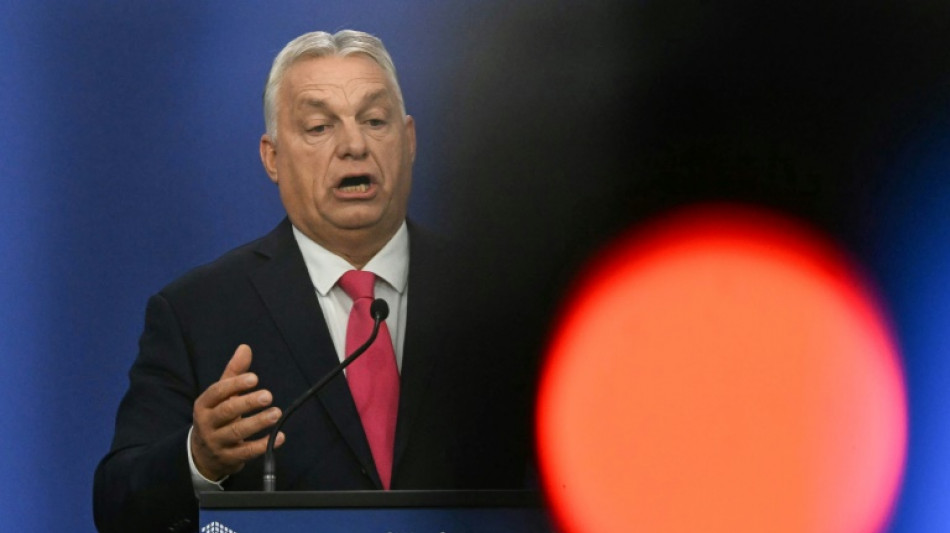 Orban, "ovelha negra" na UE, vive momento de gl&oacute;ria em c&uacute;pula na Hungria