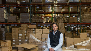 Trump tariffs stunt US toy imports as sellers play for time