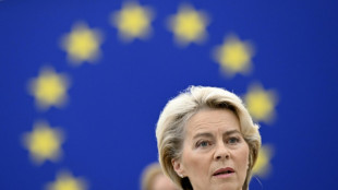 La Comisi&oacute;n Europea se propone una reforma completa del mercado de electricidad