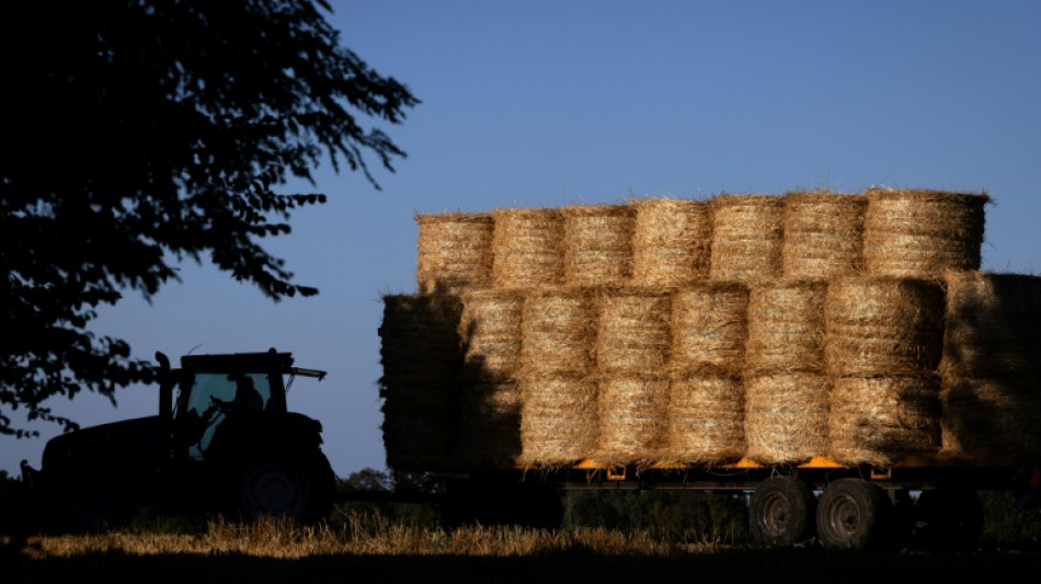 Regionalzug f&auml;hrt bei Iserlohn in auf Gleise gelegten Heuballen 