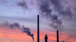 Ifo: Mangel an Auftr&auml;gen hemmt die konjunkturelle Entwicklung