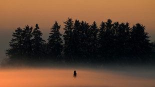 Glatteis sorgt f&uuml;r zahlreiche Verkehrsunf&auml;lle in Deutschland