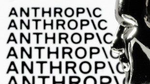 Pentagon: KI-Unternehmen Anthropic stellt "unakzeptables Risiko" f&uuml;r Armee dar