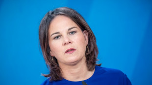 Katars Emir empf&auml;ngt Baerbock zu Meinungsaustausch