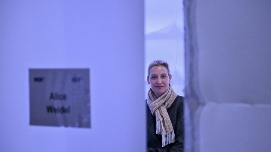 Weidel f&uuml;r Gleichstellung homosexueller Partnerschaften - Auftritt in TV-Debatte