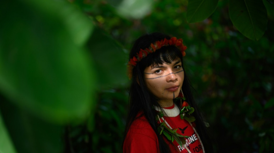 Un director brit&aacute;nico y un grupo ind&iacute;gena sufren una emboscada en Brasil, seg&uacute;n activistas