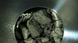 Toutes les bases de l'ADN d&eacute;tect&eacute;es sur un nouvel ast&eacute;ro&iuml;de