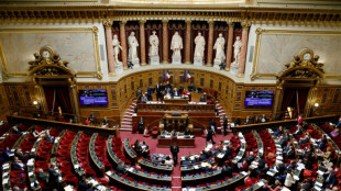 Retraites: les s&eacute;nateurs entrent en piste, la droite &agrave; la manoeuvre