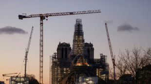 Cinco a&ntilde;os despu&eacute;s, Francia sigue buscando qu&eacute; provoc&oacute; el incendio en Notre Dame